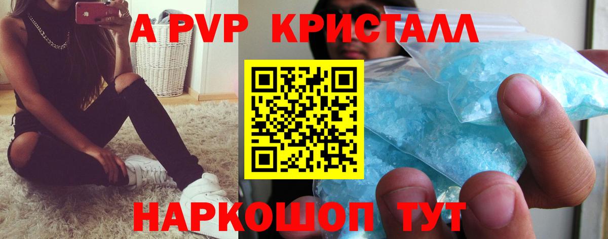 APVP СК КРИС Тара