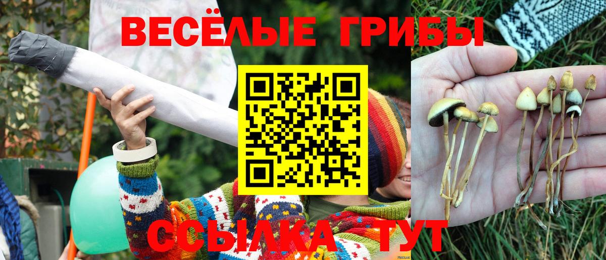 Псилоцибиновые грибы Psilocybine cubensis  Вход с VPN  Тара 