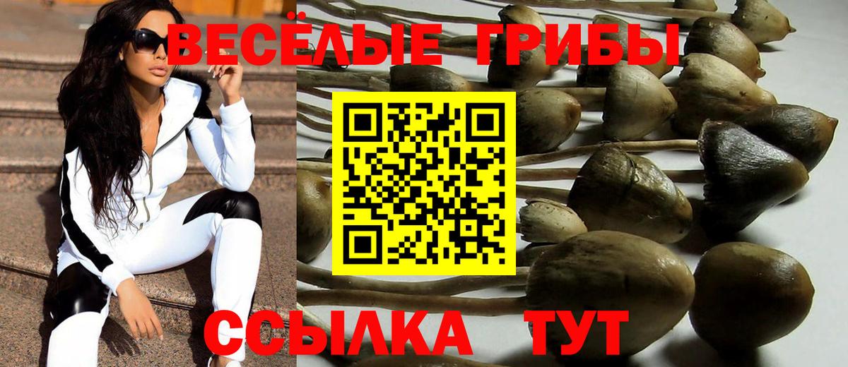 Псилоцибиновые грибы мухоморы Тара